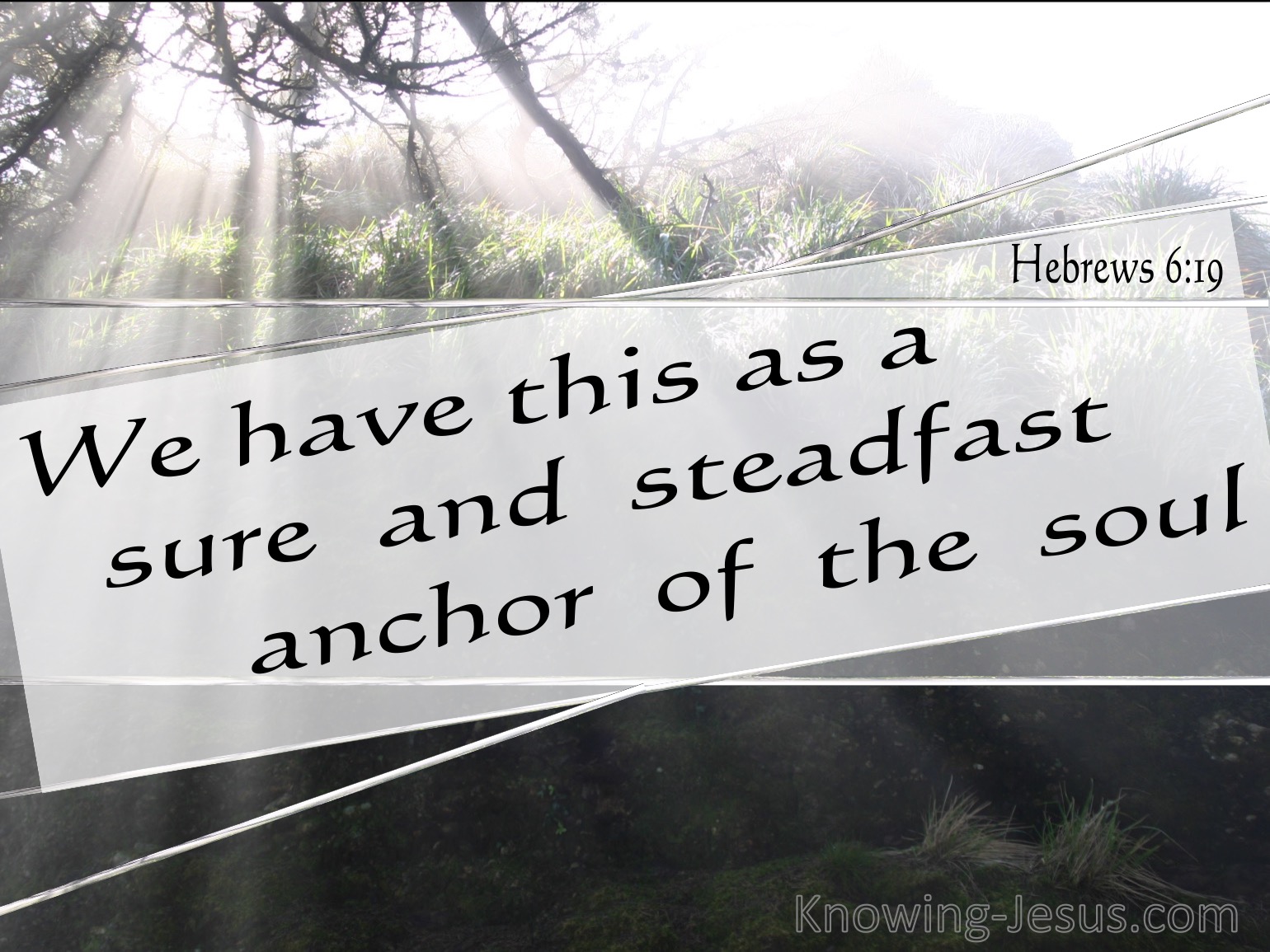 What Does Hebrews 6 19 Mean 